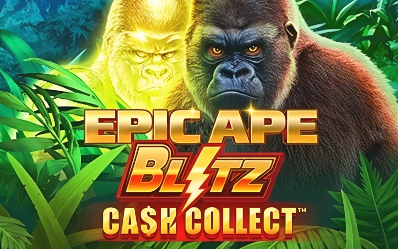 Collect massive cash prizes in Epic Ape: Blitz Cash Collect casino slot at Dafabet.